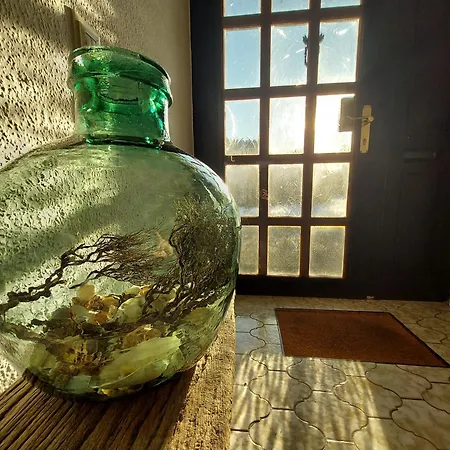 Gaestehaus * 布格多夫